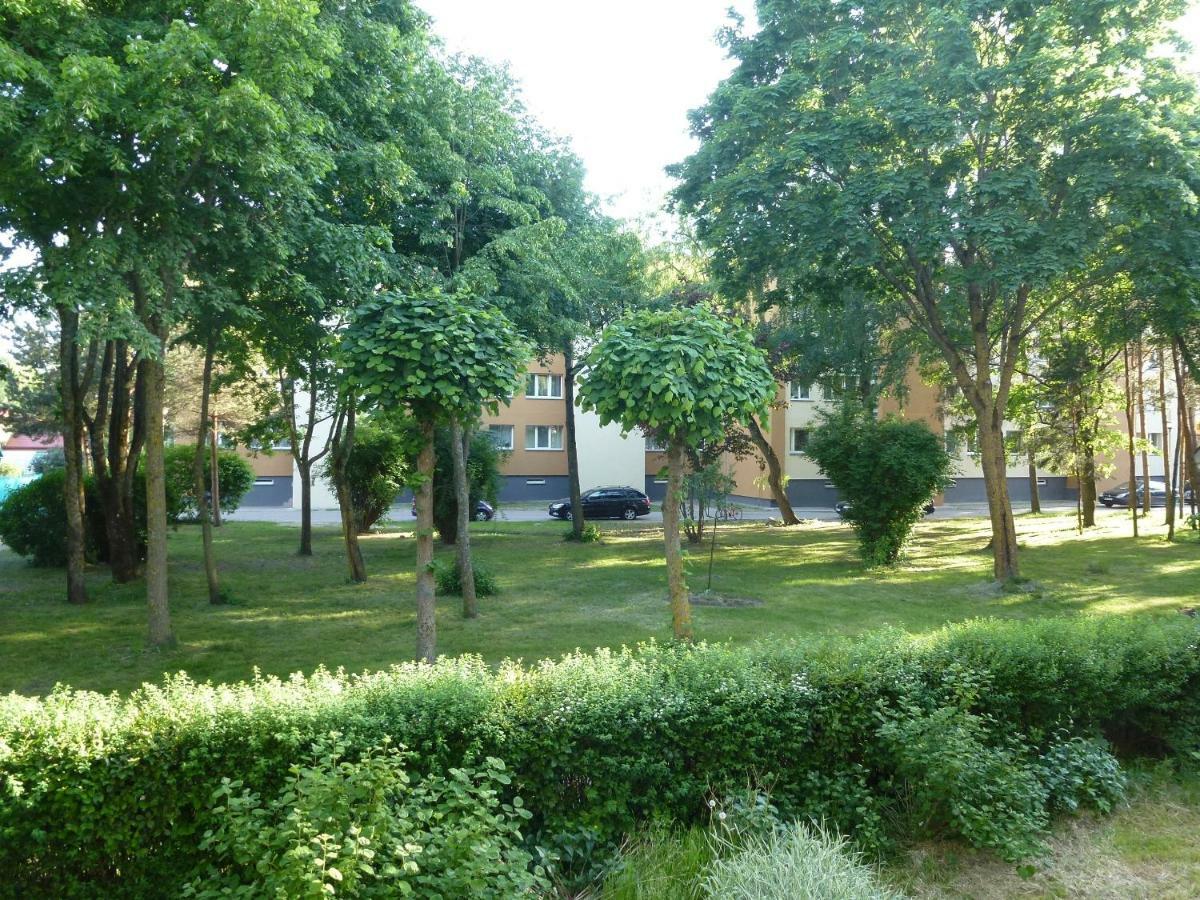 Studio Apartment "Balta" Palanga Dış mekan fotoğraf